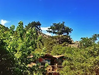 Kadirs Tree Hotel Kumluca